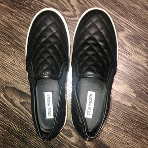 Steve madden sneaker